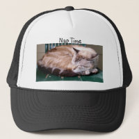 Cat 7, Nap Time,Hat