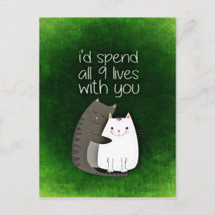 cat-859033.jpg postcard