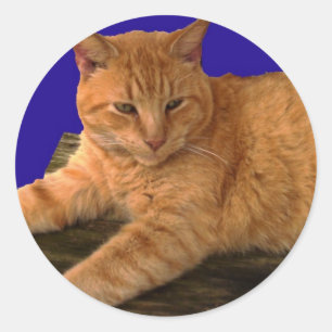 Cat 8, Stickers