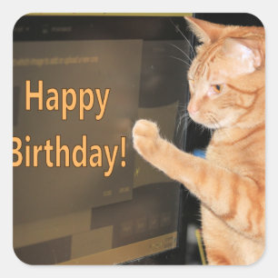 cat·a·stroph·ic birthdays not allowed square sticker