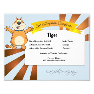 Cat Adoption Certificate Photo Print