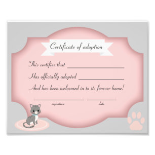 cat adoption party  certification paper photo print