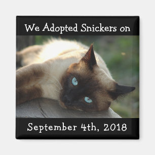 Cat Adoption Personalised Reminder Magnet