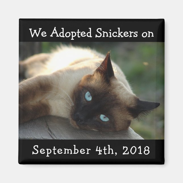 Cat Adoption Personalised Reminder Magnet (Front)