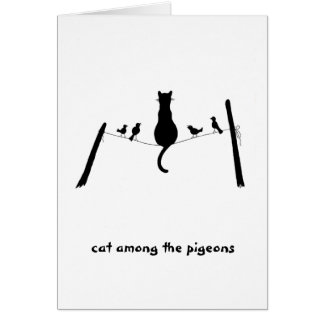 Cat among the pigeons