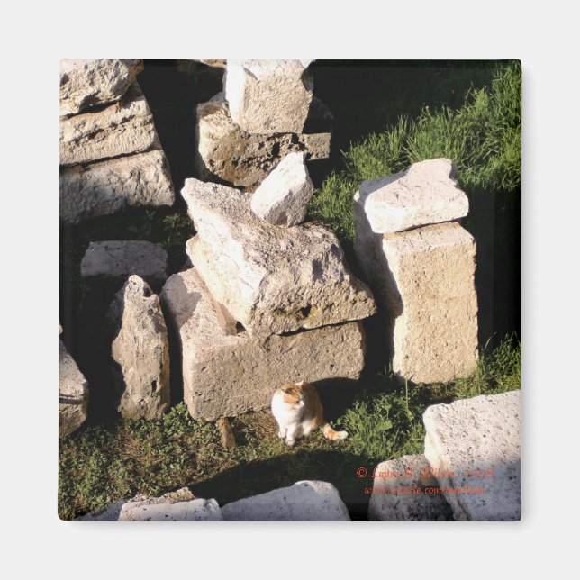 Cat Among the Ruins Magnet (Front)