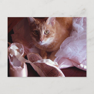 Cat and Ballet Slippers Postcard