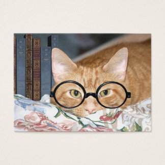 Cat and books ACEO
