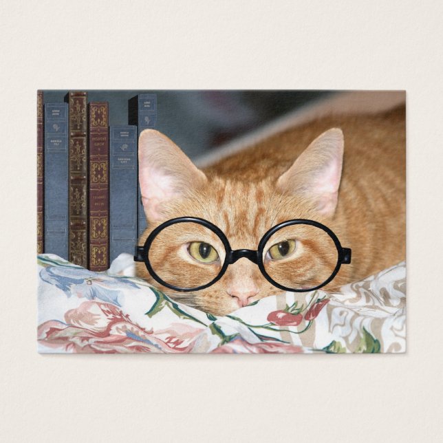 Cat and books ACEO (Front)
