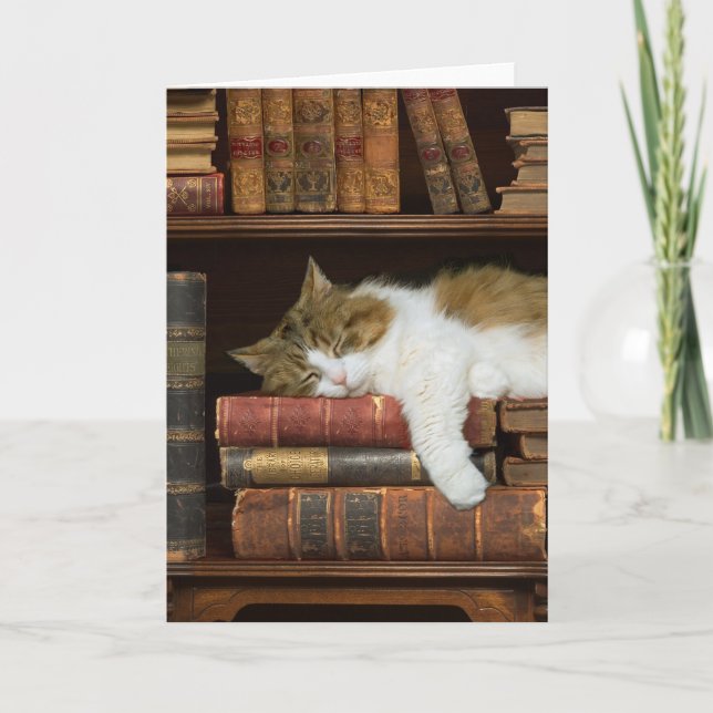 Cat and Books Card (Front)