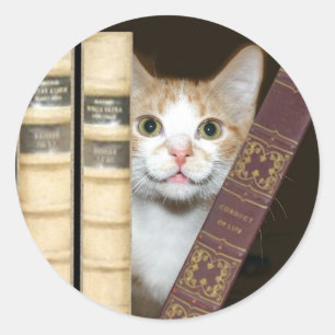 Cat and books classic round sticker