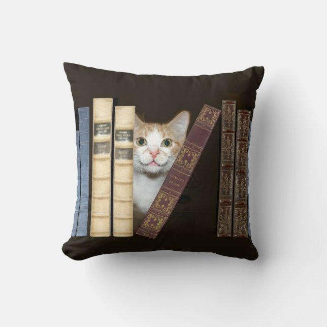 Cat and books cushion (Front)