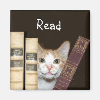 Cat and books magnet
