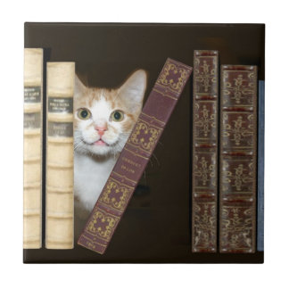 Cat and books tile