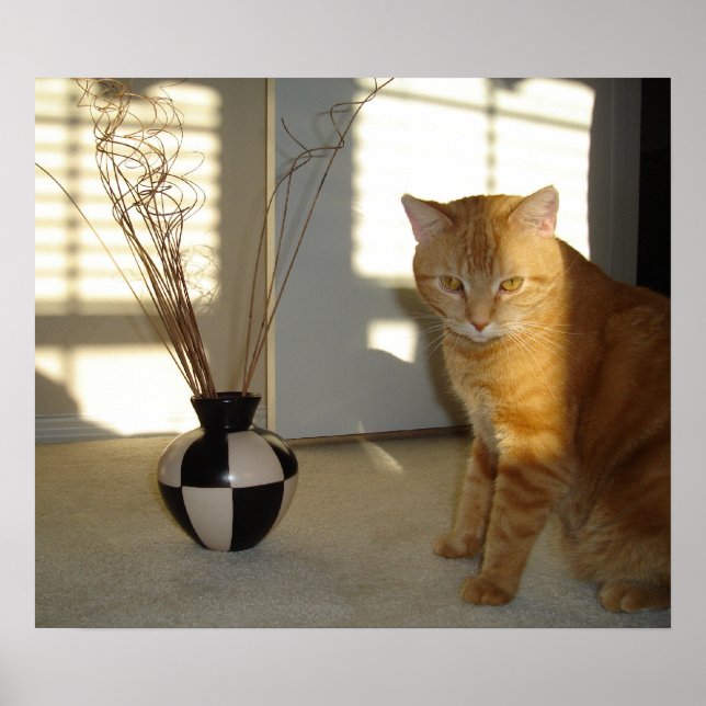 cat and chequered vase poster (Front)