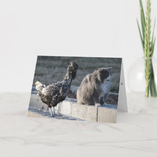 Cat and Chicken Greeting Card