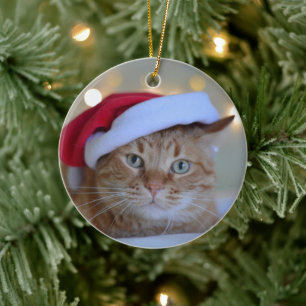 Cat and Christmas lights Ceramic Tree Decoration