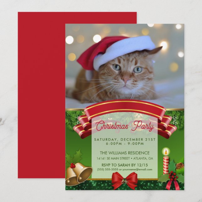 Cat and Christmas lights                 Invitation (Front/Back)