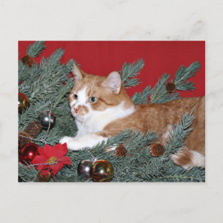 Cat and Christmas tree Holiday Postcard