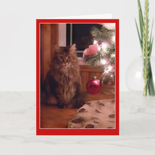 Cat and Christmas tree ornaments greeting card (Front)