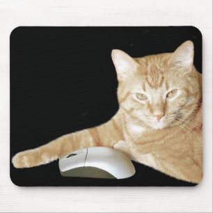 Cat and computer mouse mat
