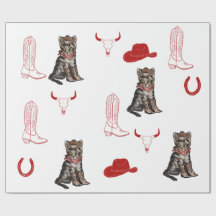 cat and cowboys 