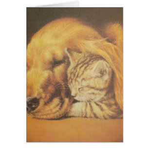 Cat and Dog