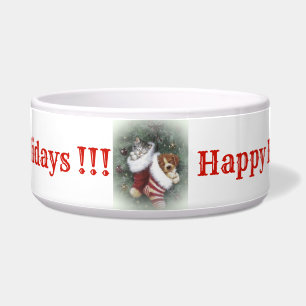 Cat and Dog Bowl