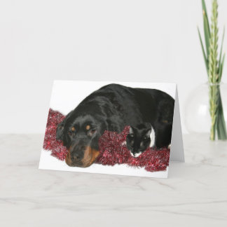 cat and dog Christmas Holiday Card