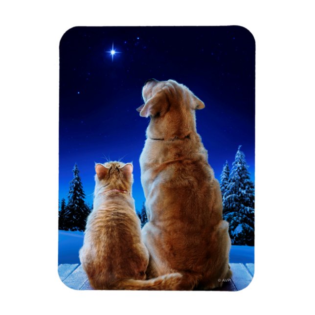 Cat and Dog Christmas Miracle Magnet (Vertical)