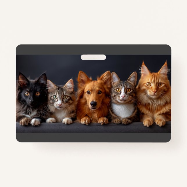 Cat and dog faces in a row, bottom view ID badge (Front)