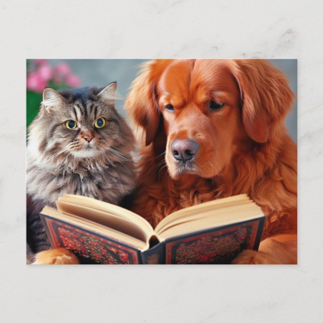 Cat and dog reading a book postcard (Front)