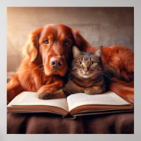 Cat and dog reading a book