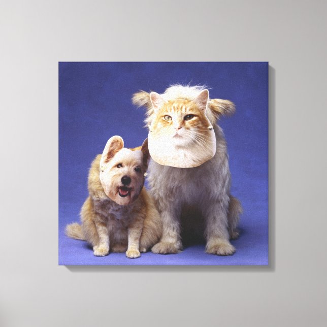Cat and dog with masks canvas print (Front)