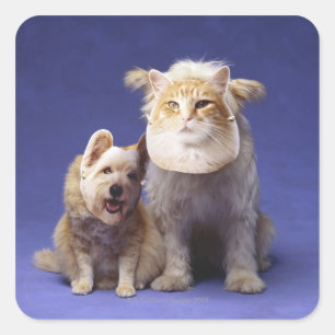 Cat and dog with masks square sticker