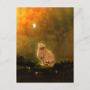 Cat and Fairy Postcard