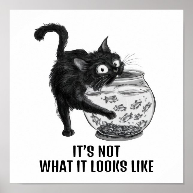 Cat and Fish Poster (Front)