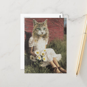 Cat and Flowers Postcard