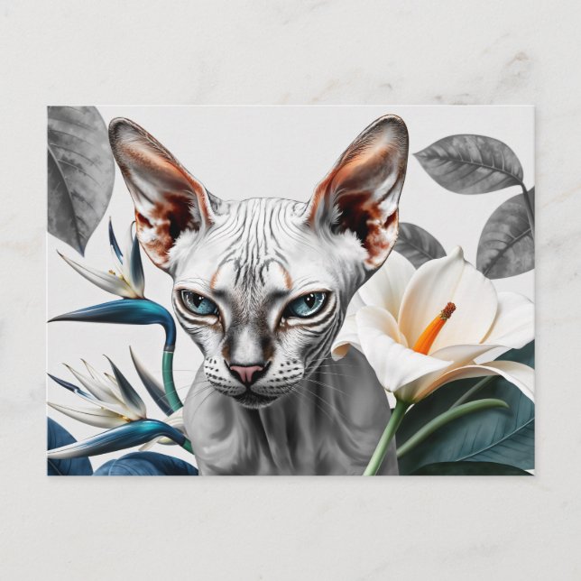 Cat and flowers postcard (Front)