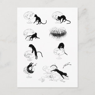 Cat and Goldfish, Alexandre Steinlen Postcard