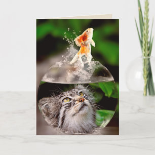cat and goldfish greeting card