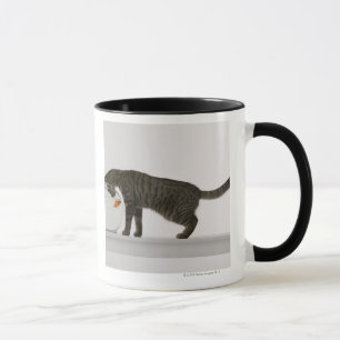Cat and goldfish mug