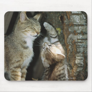 Cat and Kitten by Tree Mouse Mat