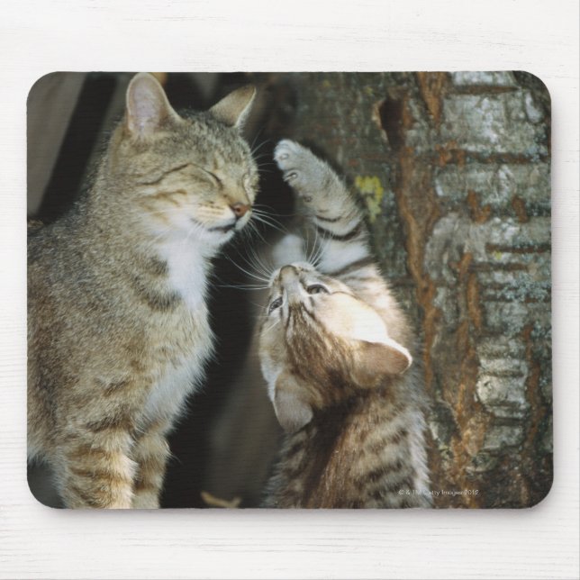 Cat and Kitten by Tree Mouse Mat (Front)