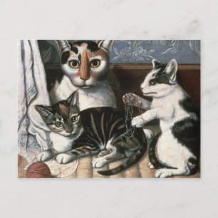 Cat and Kittens, c.1872-1883 Postcard