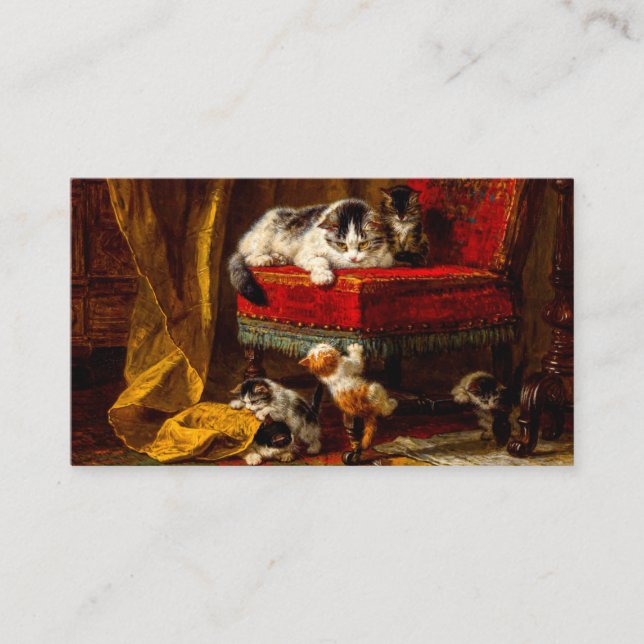 Cat and Kittens Playing with Chair Enclosure Card (Front)