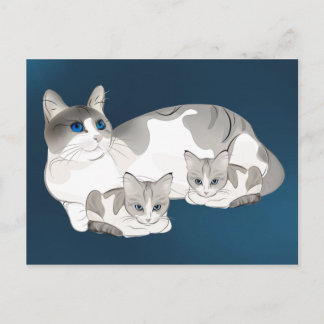 cat and kittens postcard