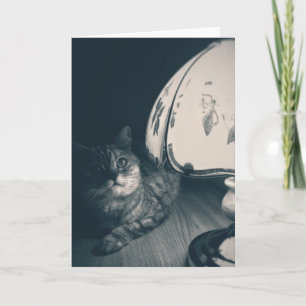 Cat and Lamp Noir Style Photograph Card