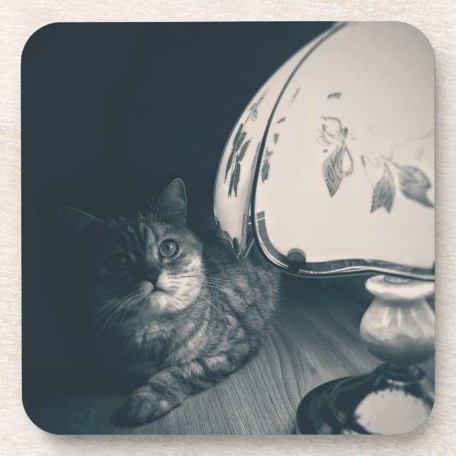 Cat and Lamp Noir Style Photograph Coaster (Front)