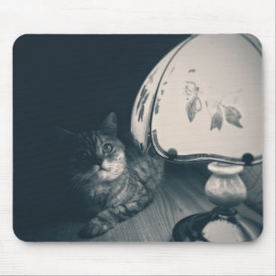Cat and Lamp Noir Style Photograph Mouse Mat